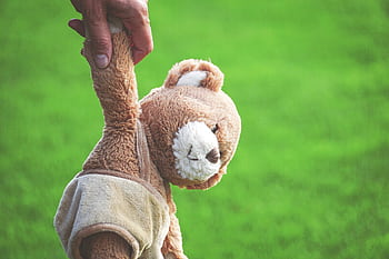 Close-up of a hand holding a teddy bear outdoors, with a vibrant green field background. HD wallpaper