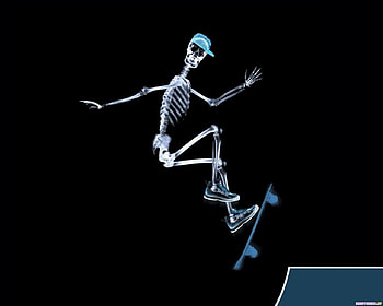 The Jump, skateboard, skeleton, x-ray, funny, jump HD wallpaper