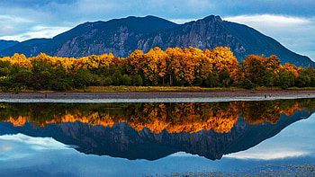 Borst Lake, Washington, colors, trees, water, reflections, fall HD wallpaper