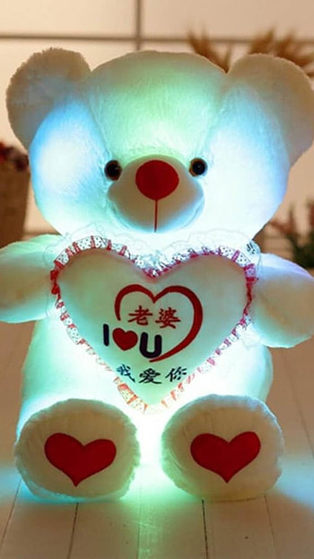 Beautiful Teddy Bear, Beautiful, White Teddy HD phone wallpaper