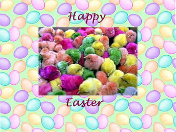 HAPPY EASTER CHICKS, , chicks, easter, dyed HD wallpaper