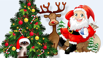 St Claus, abstract, christmas, claus, santa, tree HD wallpaper