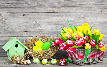 Easter Eggs And Flowers, Easter, Eggs, Flowers, Bird House, Nature HD wallpaper