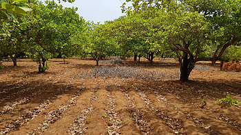 Burkina Faso travels, Burkina Faso gebana, Ecotop consult HD wallpaper