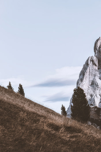 Landscape, Nature, Trees, Mountains, Rock, Slope HD phone wallpaper