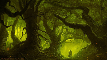 Fantasy - Forest HD wallpaper