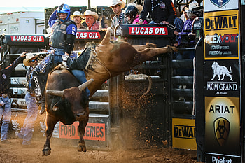 MGM Grand, Rodeo HD wallpaper