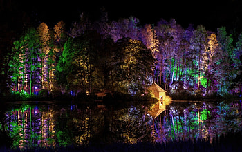 Park at night 5, Park, Nature, Night, Light HD wallpaper