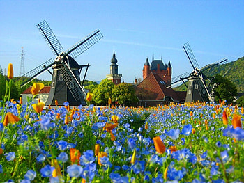 Windmills in summer, colorful, colors, nice, refreshing, greenery, windmills, meadow, beautiful, grass, fresh, summer, wind, mills, pretty, field, freshness, green, clouds, nature, sky, flowers, lovely HD wallpaper