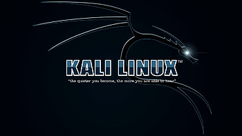 Kali Linux HD wallpaper