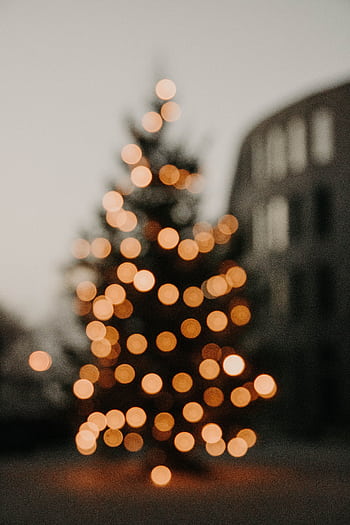A softly focused Christmas tree adorned with warm bokeh lights outdoors during the holiday season. HD phone wallpaper