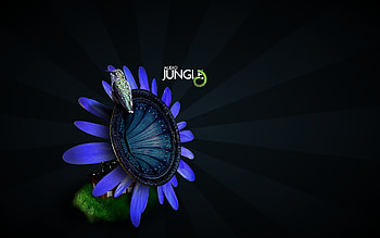 Just hear it or just feel it!, music, abstract, flower HD wallpaper