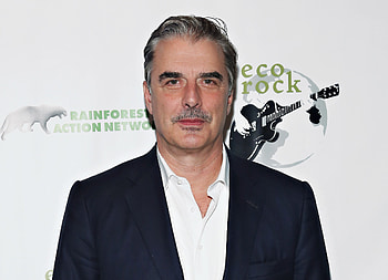 Chris Noth, TV Shows, The Good Wife, Disgraced politician HD wallpaper