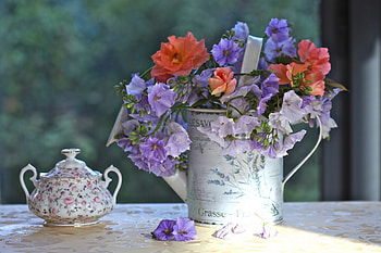 Still Life, purple, beautiful, flowers, ornge HD wallpaper
