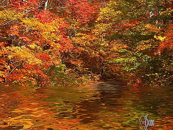 Autumn Waters, trees, autumn, forest, lake HD wallpaper