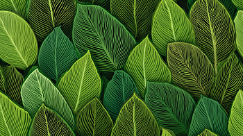 Verdant Mosaic — Leaf Pattern, artistic, pattern, leaf, foliage HD wallpaper