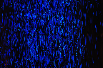 Abstract Blue Lights , abstract, blue HD wallpaper