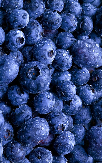 Food, Blueberries , Crazy HD phone wallpaper