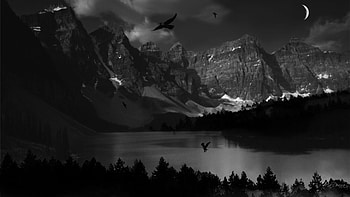 dark nature HD wallpaper