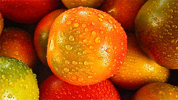 Food, Drops, Tomato, Vegetable HD wallpaper