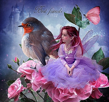 frumusete, bird, Laurent Graff, girl, fairy, pink, fantasy, flower, luminos, pasari HD wallpaper
