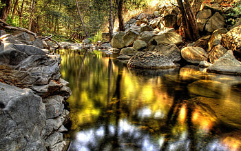 Nature, Stones, Lake, Reflection, Park HD wallpaper