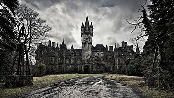 Gothic Cathedral, John Thompson HD wallpaper