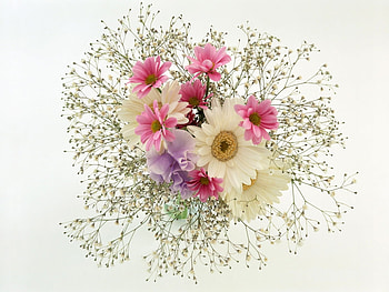 Plants, Flowers, Bouquets HD wallpaper