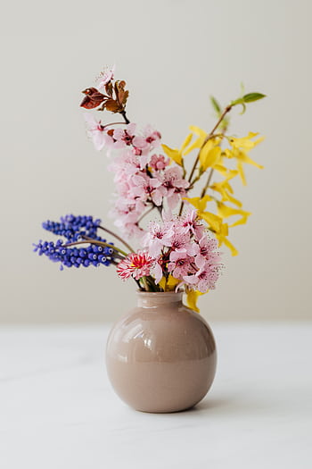 A delicate arrangement of blooming flowers in a ceramic vase, featuring pink cherry blossoms and yellow forsythia. HD phone wallpaper