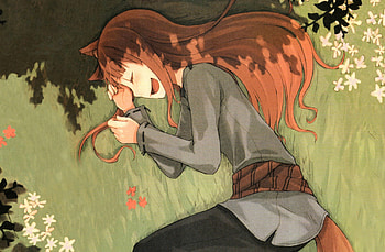 ~Pleasant Dreams~, Spice and Wolf, anime, holo, grass, girl, long hair, tail, sleep HD wallpaper