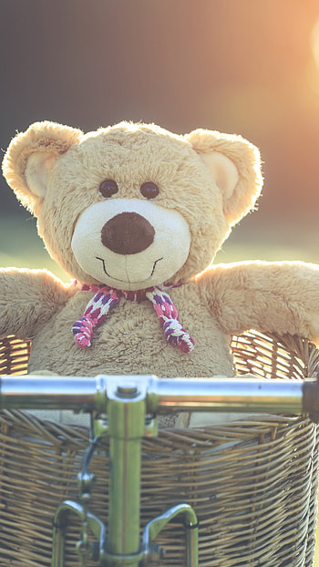Cute Teddy Bear, Garden Background HD phone wallpaper