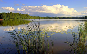 Landscape, Rivers HD wallpaper
