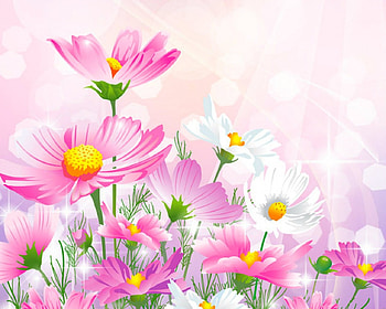 Beautiful Flowers, bokeh, pink, flowers, art HD wallpaper