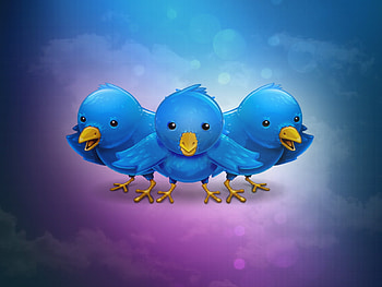 Tweeters-lost, cool HD wallpaper