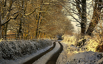 * Beautiful winter forest *, winter, trees, road, nature, forest HD wallpaper
