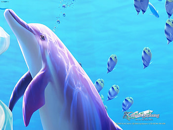 Animals, Water, Dolfins, Sea HD wallpaper