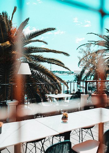Beach, Palms, Interior, Miscellanea, Miscellaneous, Furniture, Terrace HD phone wallpaper