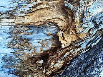 Tree Bark Pattern, pattern, tree, abstract HD wallpaper