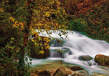 Waterfall, leaves, fall, autumn, beautiful HD wallpaper
