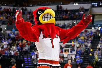 Mascot Louie, Louisville Cardinals HD wallpaper