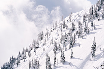 Winter, Nature, Trees, Snow, Mountain, Slope HD wallpaper