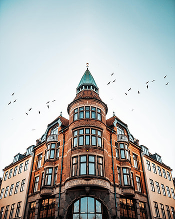 Cities, Birds, Architecture, Building HD phone wallpaper