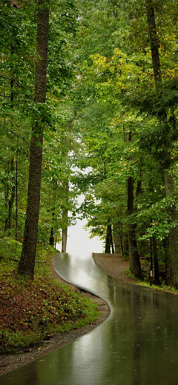 Great Smoky Mountains, National Park, , High definition HD phone wallpaper