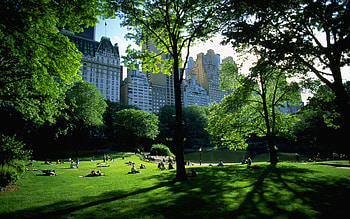Landscape, Cities, Nature HD wallpaper