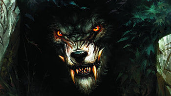 Wolfs, Fantasy HD wallpaper