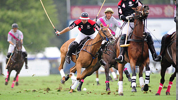 Elegant horse polo, Polo-inspired , Sporting elegance, Equine athleticism HD wallpaper