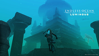 Endless Ocean HD wallpaper
