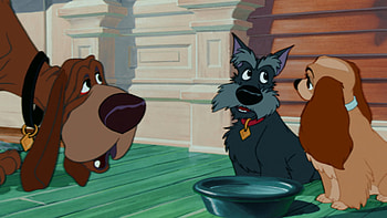 Jock, Trusty, and Lady, Lady and the Tramp HD wallpaper