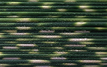 Texture, Textures, Surface, Cloth, Thread, Threads HD wallpaper