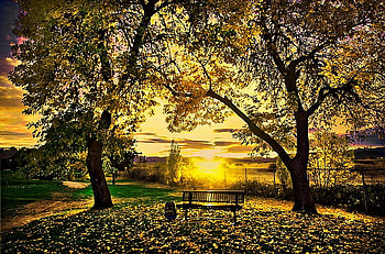 A spot for two, bench, golden sky, clouds, trees, country, sunset HD wallpaper